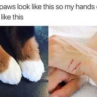 That is love