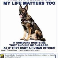 Cops love shooting dogs