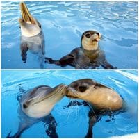 Day 593 of your daily dose of cute: Besties!