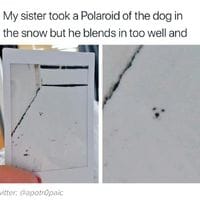 Camouflage boi