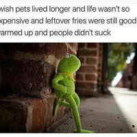 L I f e s u c k s : C