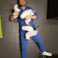 Benefits of being a Vet :3