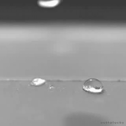 Image result for surface tension of water animation gif