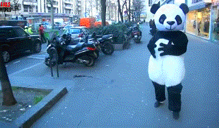 Evil psychic panda