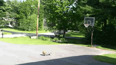 Bicycle, skateboard, basketball trick shot