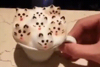 Latte foam cats