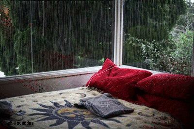 Reading spot would be heaven. Who loves to read listening to the rain?