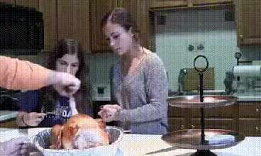 Pregnant turkey prank