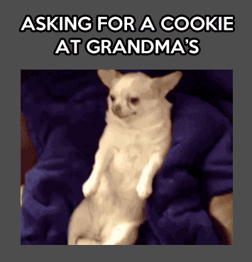 Can I have a cookie grandma?