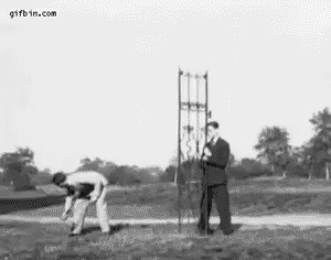 German shepherd obstacle jump