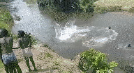 The way this kid dives into the river