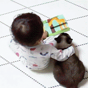Baby reading kitty a bedtime story