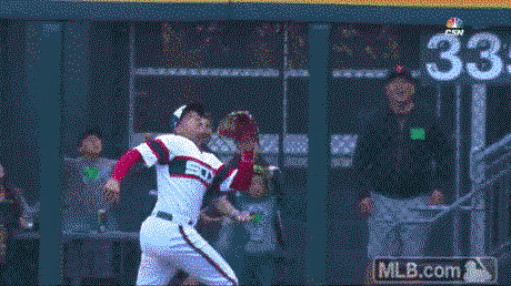 Fan high-fives chicago white sox right fielder avisail garcia after catch
