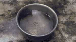 Spoon of liquid nitrogen in a bowl of gasoline. 