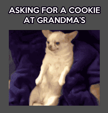 Can I have a cookie grandma?