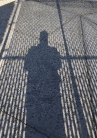 This fence pixelates the shadow