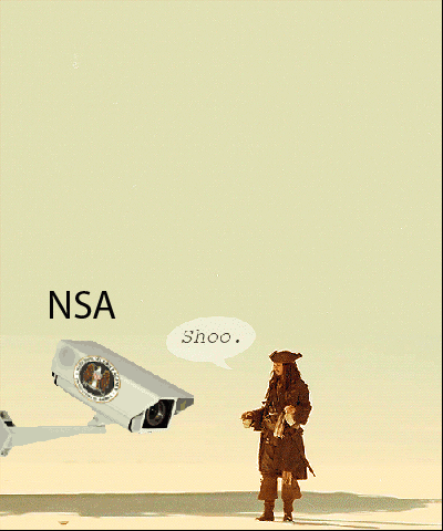 Nsa is watching
