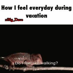 When I'm on vacation