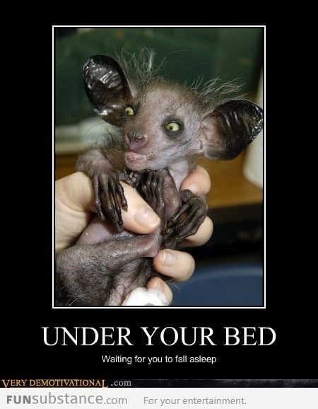 Under Your Bed...