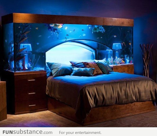 Awesome Aquarium Bed