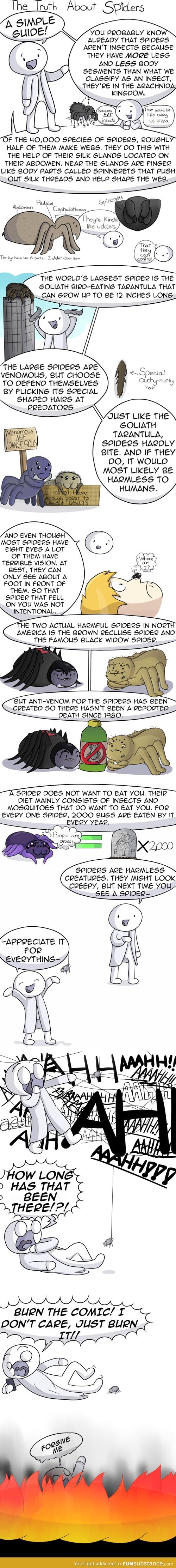 Truth about spiders