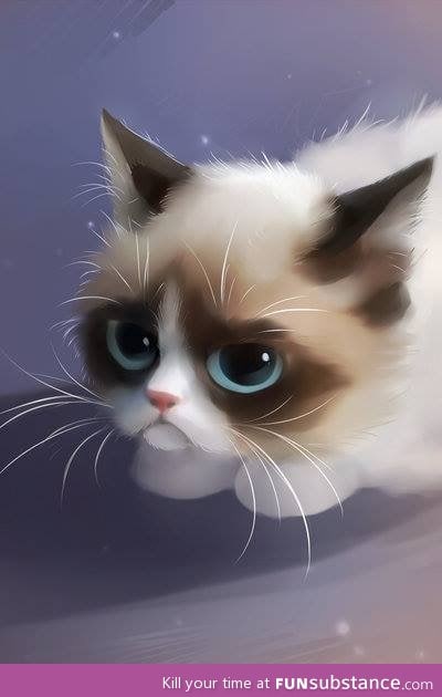 Grumpy cat. :)