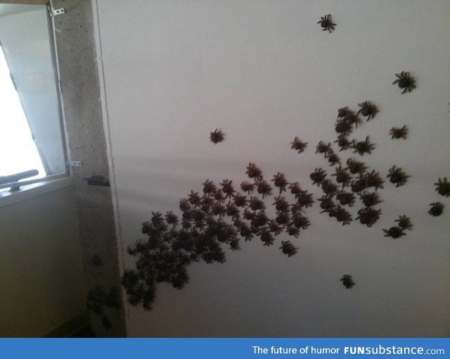 Spider army