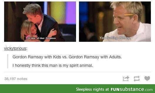 Gordon Ramsey is my spirit animal