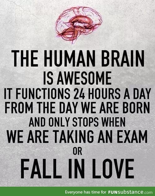 And this is the human brain...