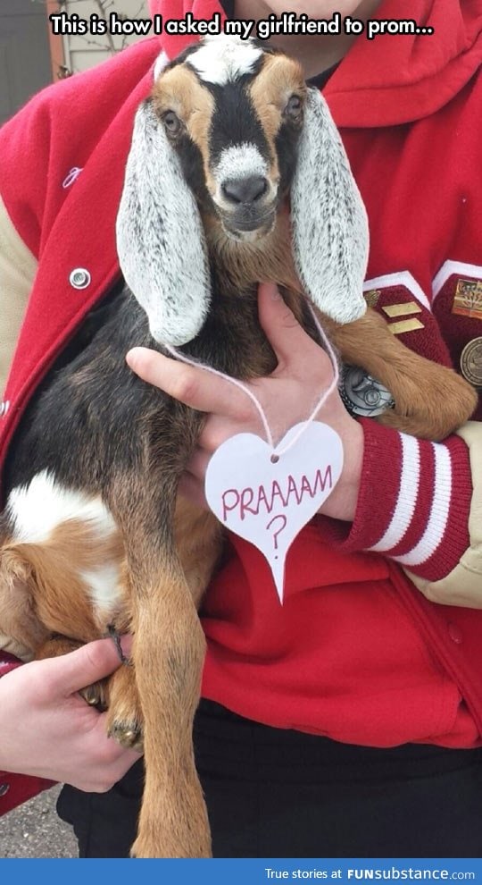 Will you goat' o the prom with me?