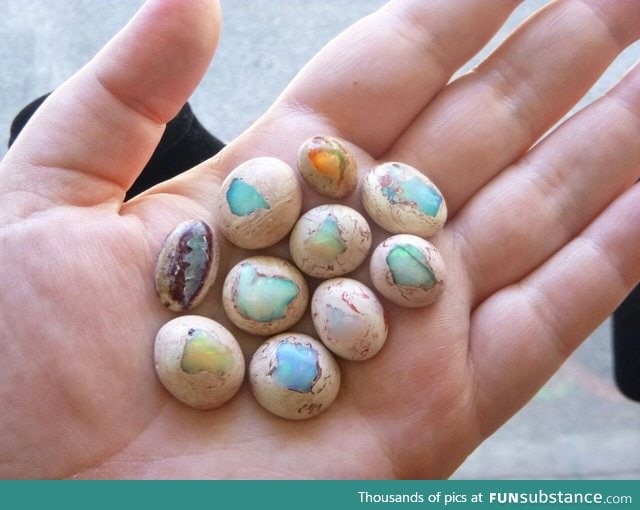 These opals look like mini hatching dragon eggs