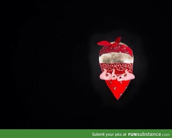 Great view of the blood moon