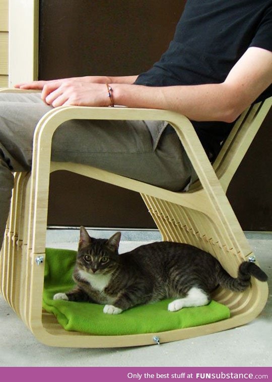 The best rocking chair design, approved by cats