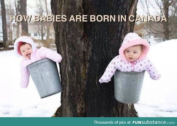 Canadian babies