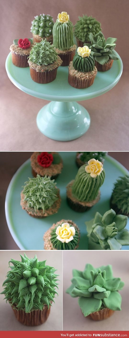 Those are some succulent cupcakes