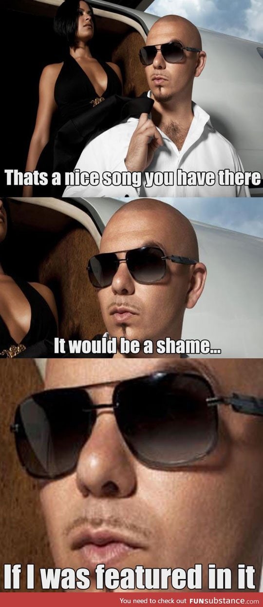 Every pitbull song ever