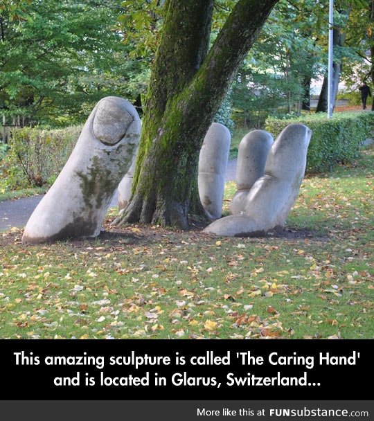The caring hand
