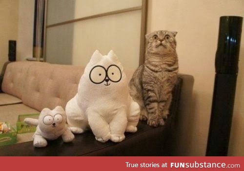Simon's cat and friends