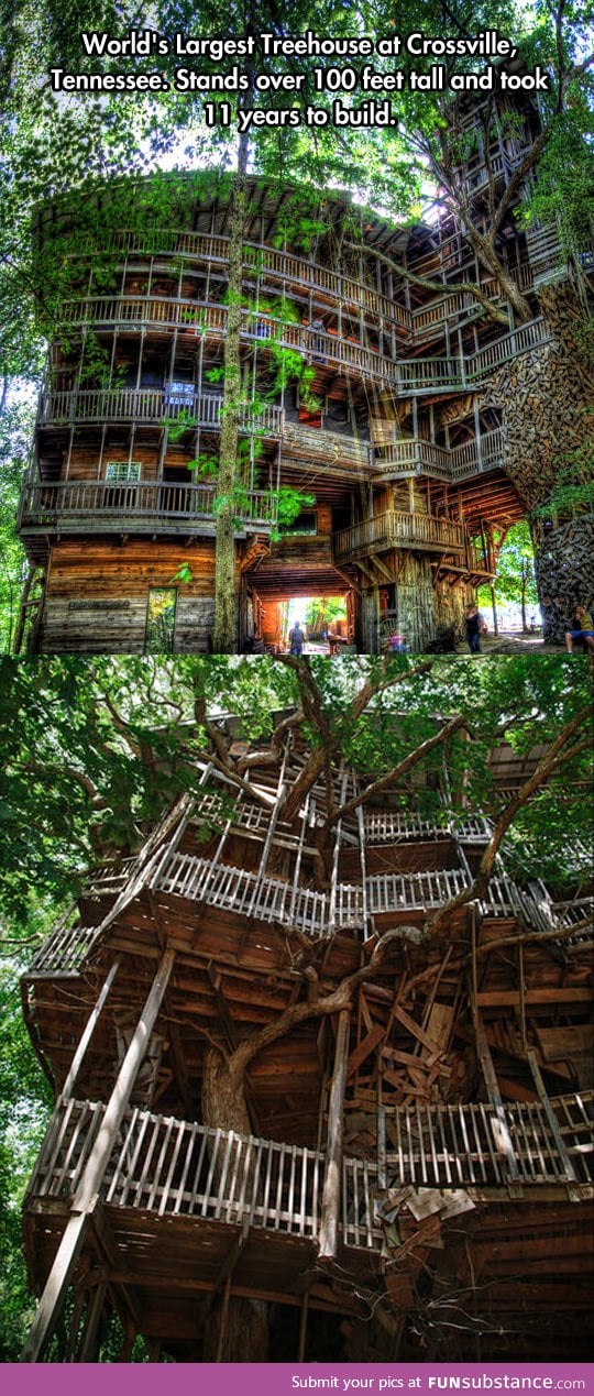 World's largest treehouse