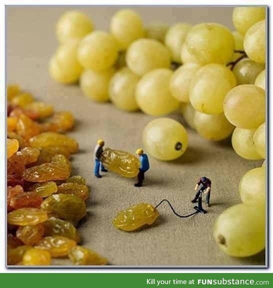 How grapes are made