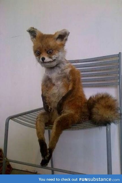 When you wake up early and sit on your bed like...
