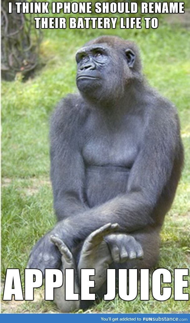 Introspective gorilla