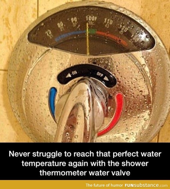 Shower thermometer