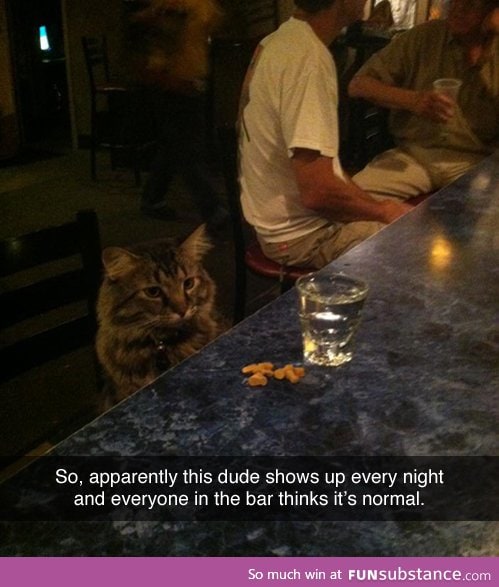 At the bar