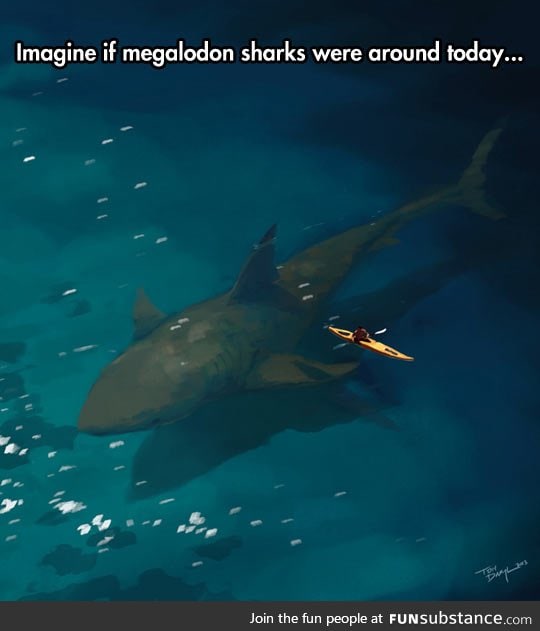 Megalodon sharks: The ocean nightmare