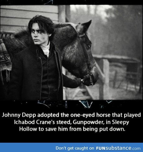 Johnny Depp.saved a horse