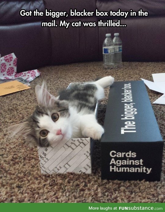 Cat against humanity?