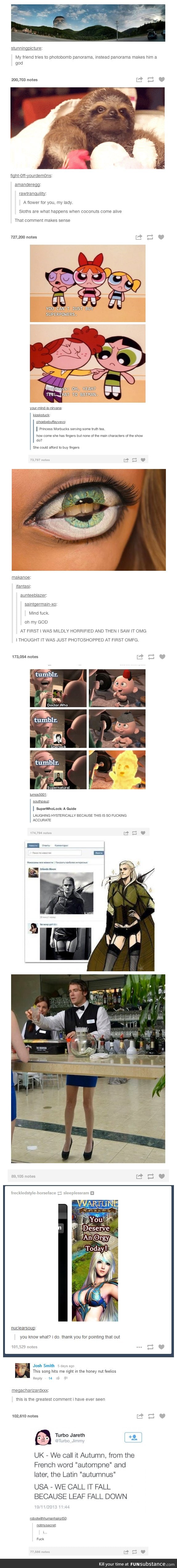 Another Tumblr compilation