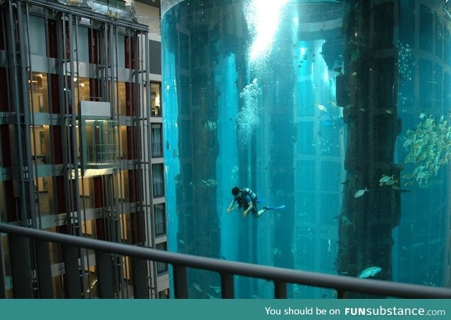 Hotel lobby fish tank