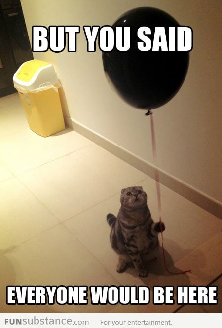 Sad Birthday Cat